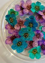 Charger l'image dans la galerie, Grosses fleurs séchées - Nail Art