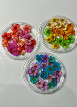 Charger l'image dans la galerie, Grosses fleurs séchées - Nail Art