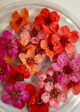 Charger l'image dans la galerie, Grosses fleurs séchées - Nail Art