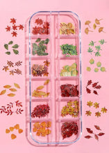Charger l'image dans la galerie, Décorations Fleurs Automne 🍂 pour Ongles - Nail Art