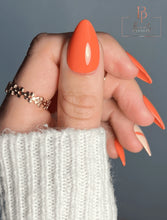 Charger l'image dans la galerie, Corail VSP