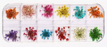 Charger l'image dans la galerie, Fleurs séchées pour Décoration Ongles - Beauty Passion